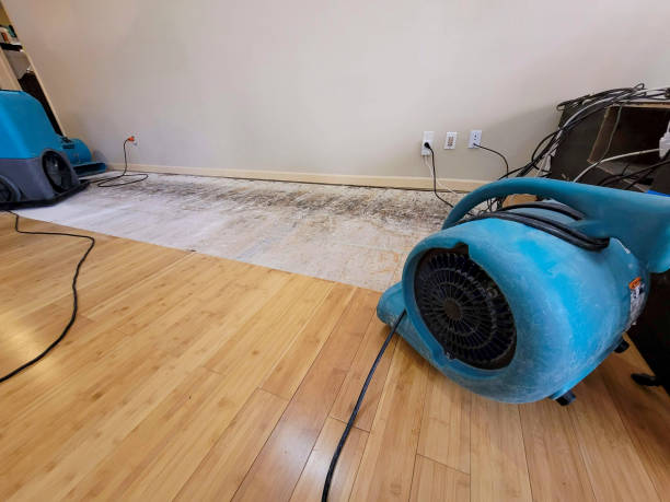 Professional Sewage Cleanup technician working in Evansville, IL